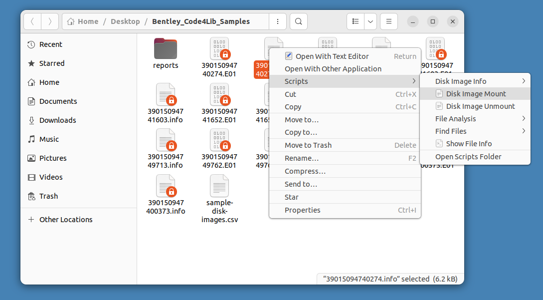 Screenshot of selecting Disk Image Mount from the file manager